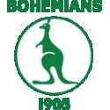 team logo