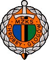 team logo