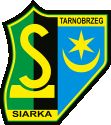 team logo